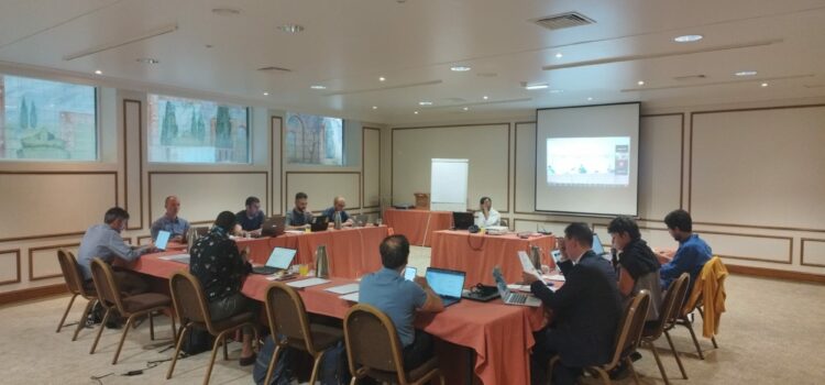 Prevenir a Corrupção na Contratação Pública de Emergência