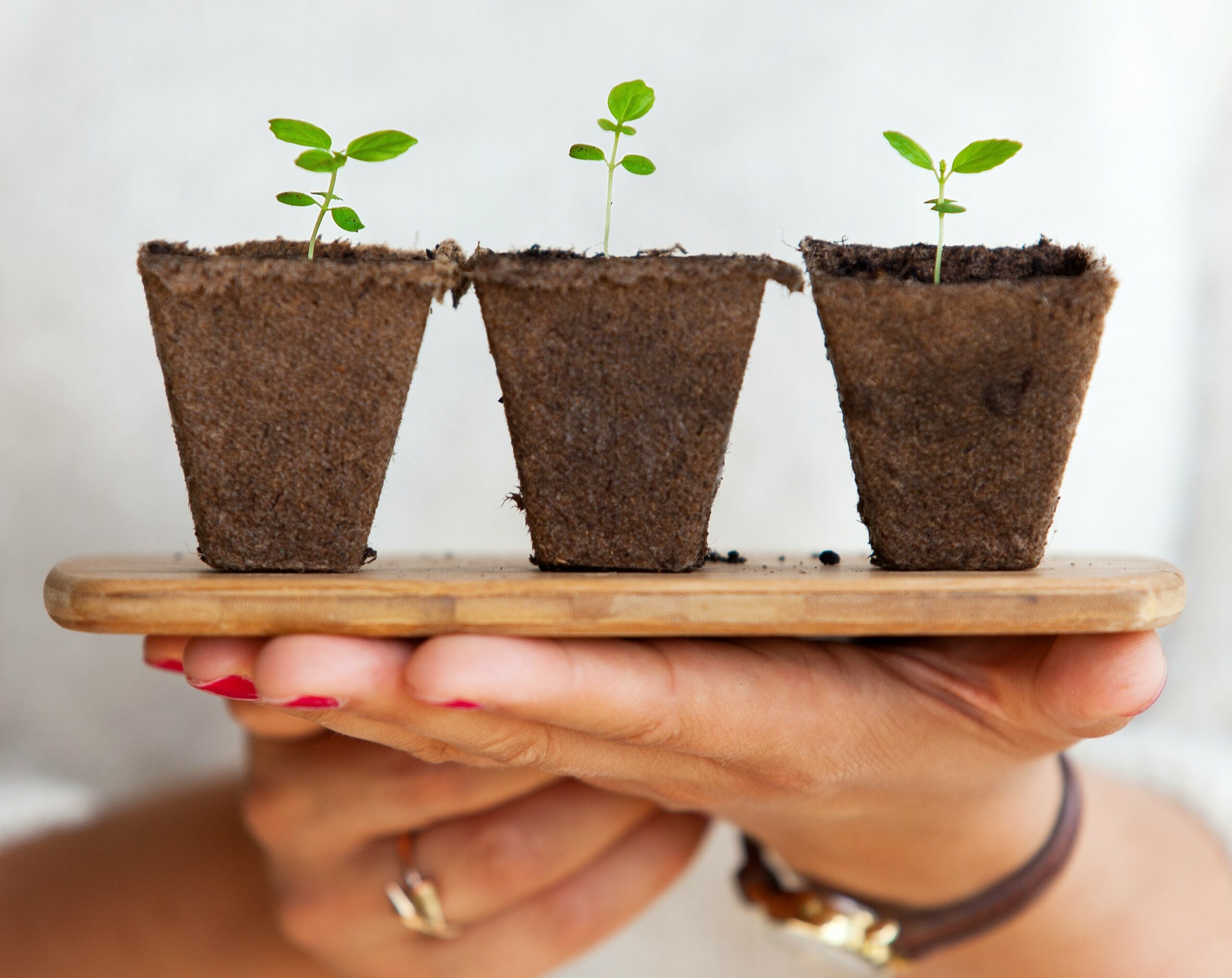 daniel-oberg-sEApBUS4fIk-unsplash_copy